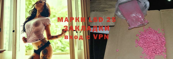 прущие грибы Абинск