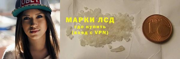 прущие грибы Абинск