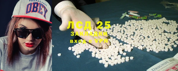 прущие грибы Абинск