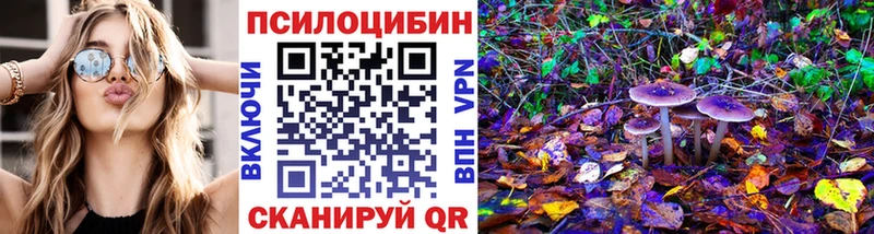 Псилоцибиновые грибы Psilocybine cubensis  Поворино 
